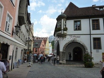 P1030619 P1030619