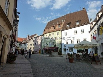 P1030628 P1030628