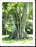 Quirigua_17