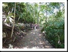 Semuc champey-Guatemala-002