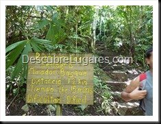 Semuc champey-Guatemala-007