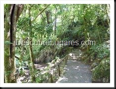 Semuc champey-Guatemala-010