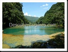 Semuc champey-Guatemala-080