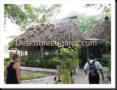 Tikal_001