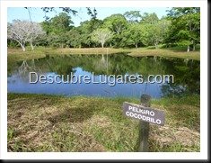 Tikal_012