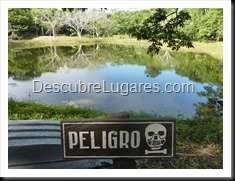Tikal_015