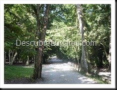 Tikal_019