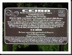 Tikal_028