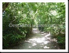 Tikal_043