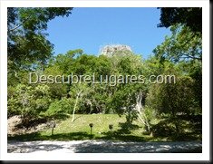 Tikal_044