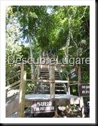 Tikal_048
