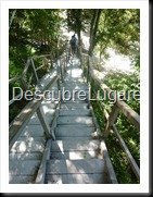 Tikal_066