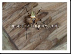 Tikal_067