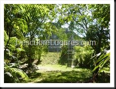 Tikal_070