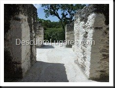 Tikal_077
