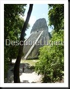 Tikal_091