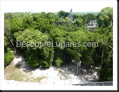 Tikal_096