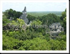 Tikal_097