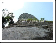 Tikal_103
