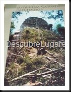 Tikal_104