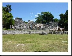 Tikal_110