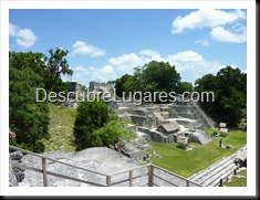 Tikal_113