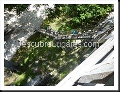 Tikal_118