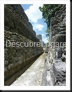 Tikal_128