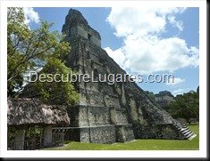 Tikal_129