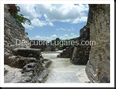 Tikal_136