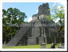 Tikal_142