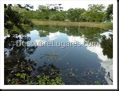 Tikal_154