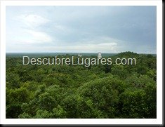 Tikal_162