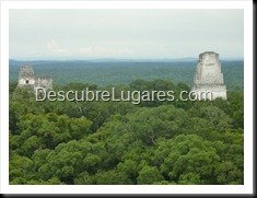 Tikal_165