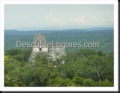 Tikal_169