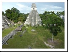 Tikal_174