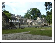 Tikal_178