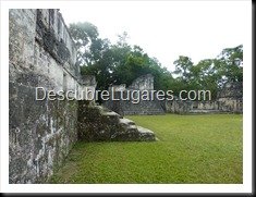 Tikal_186