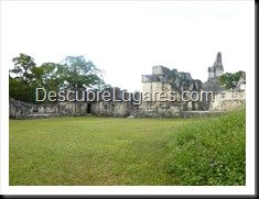 Tikal_187