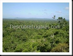 Tikal_202