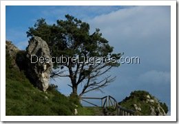 Asturias-Mirador del Fito127
