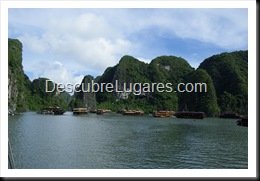 Bahia Halong -Vietnam-05