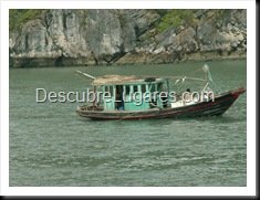 Bahia Halong -Vietnam-64