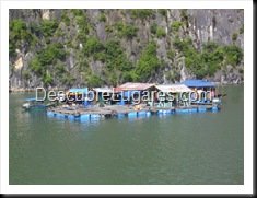 Bahia Halong -Vietnam-71