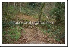 Camin Encantau-Ardisana-Llanes-54
