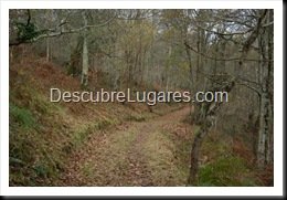 Camin Encantau-Ardisana-Llanes-56