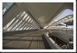 Ciudad_De_Las_Ciencias_Valencia214