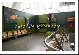 Ciudad_De_Las_Ciencias_Valencia216