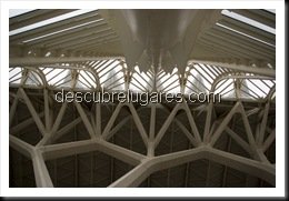 Ciudad_De_Las_Ciencias_Valencia243
