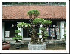 Hanoi -Vietnam-108